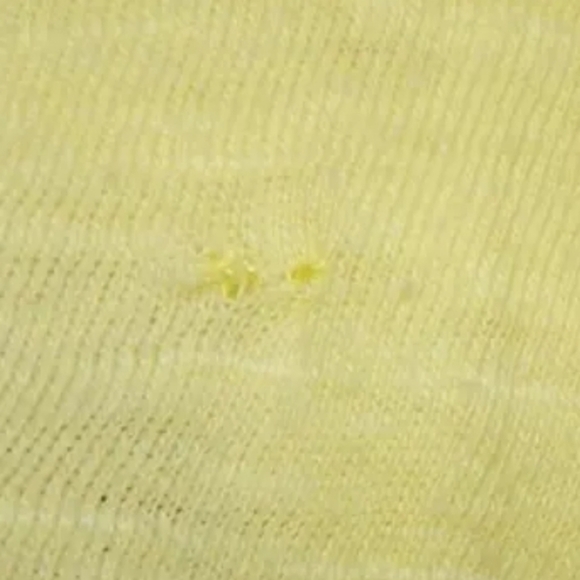 XCVI Neon Yellow Scoop Neck Sheer Panel Tank - Picture 4 of 4